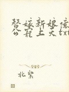 替嫁新娘亿万老公宠上天txt下载