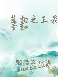 万相之王最最新章节