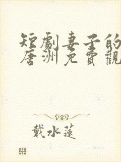 短剧妻子的秘密唐洲免费观看