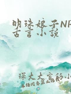 明珠娘子NPC古言小说
