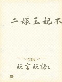 二嫁王妃不好惹