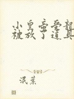 小皇帝受龙椅上被放了道具