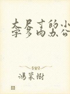 大尺寸的小黄说字多肉办公室作文