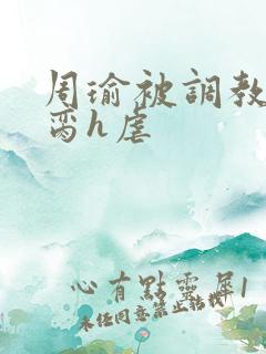 周瑜被调教成禁脔h虐