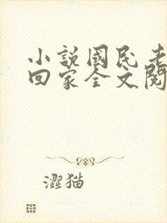 小说国民老公带回家全文阅读