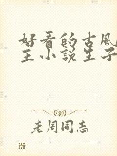 好看的古风双男主小说生子