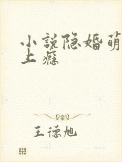 小说隐婚萌妻宠上瘾