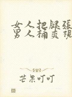 女人把腿张开让男人桶爽视频