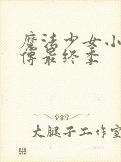 魔法少女小圆外传最终季