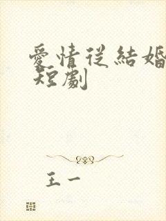 爱情从结婚开始 短剧