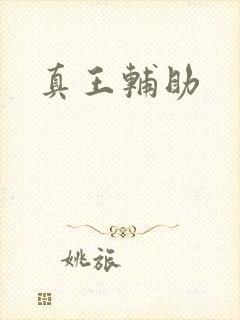 真王辅助