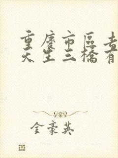 重庆市区去武隆天生三桥有多远