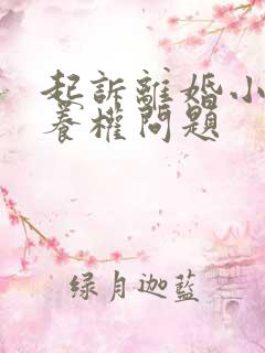 起诉离婚小孩抚养权问题