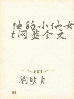 他的小仙女txt网盘全文