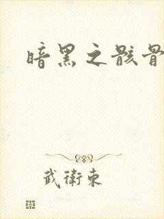 暗黑之骸骨君王