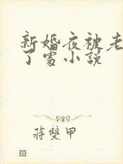 新婚夜被老头破了处小说
