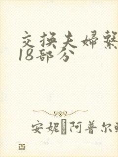 交换夫妇系列第18部分