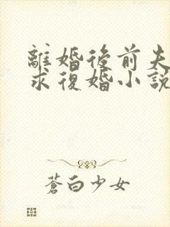 离婚后前夫哭着求复婚小说免费阅读全文