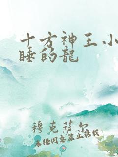 十方神王小说贪睡的龙
