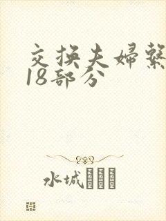 交换夫妇系列第18部分