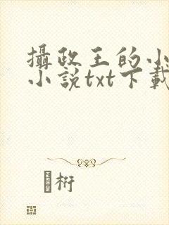 摄政王的小闲妻小说txt下载