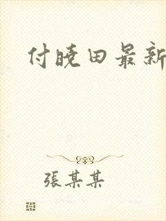 付晓田最新消息