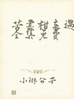 苦尽柑来遇见你全集免费