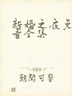 新婚之夜免费观看全集
