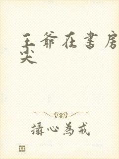 王爷在书房含乳尖