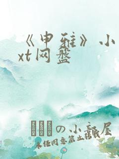 《申雅》小说txt网盘