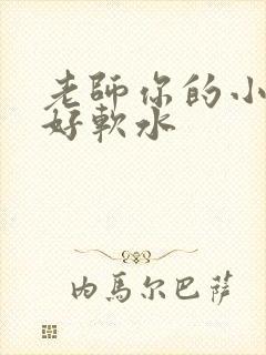 老师你的小兔子好软水