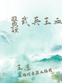 医武兵王血徒小说