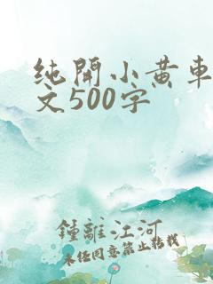纯开小黄车小短文500字