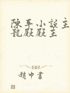 陈平小说主角天龙殿殿主