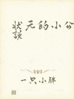 状元的小公主小说