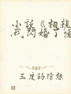 小说《相亲当天,我闪婚了亿万富豪》