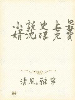 小说史上最强赘婿沈浪免费阅读