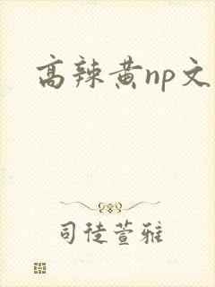 高辣黄np文