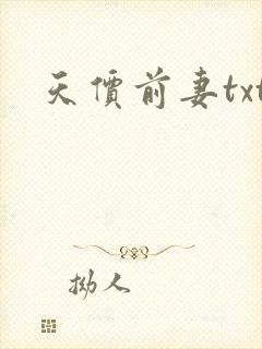 天价前妻txt
