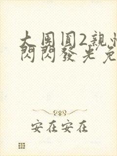 大团圆2亲情会闪闪发光免费