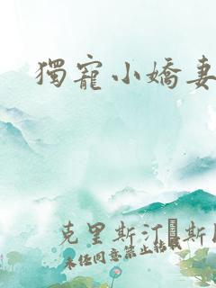 独宠小娇妻