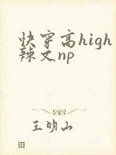 快穿高high辣文np