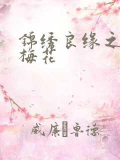 锦绣良缘之驿寄梅花