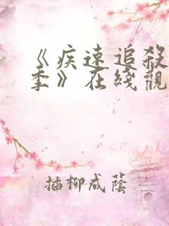 《疾速追杀第2季》在线观看完整免费观看