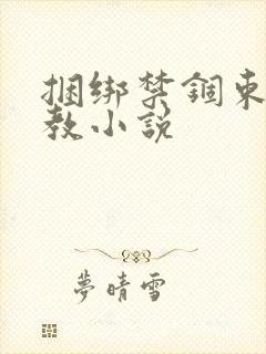 捆绑禁锢束缚调教小说