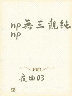np无三观纯肉np