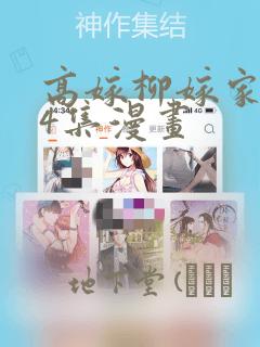 高嫁柳嫁家1-4集漫画：结局+番外