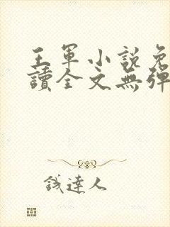 王军小说免费阅读全文无弹窗