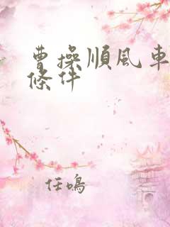 曹操顺风车司机条件