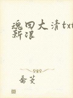 魂回大清txt新浪
